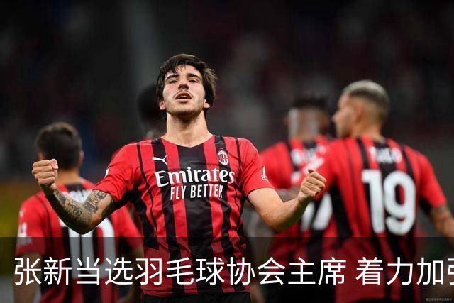 张新当选羽毛球协会主席 着力加强反腐倡廉